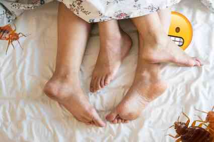 Come rimuovere le cimici da letto